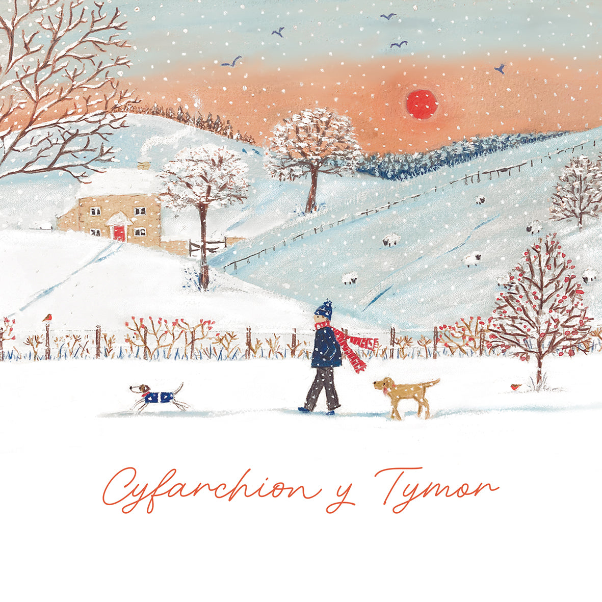 Walk in the snow (Welsh Bi-Lingual)