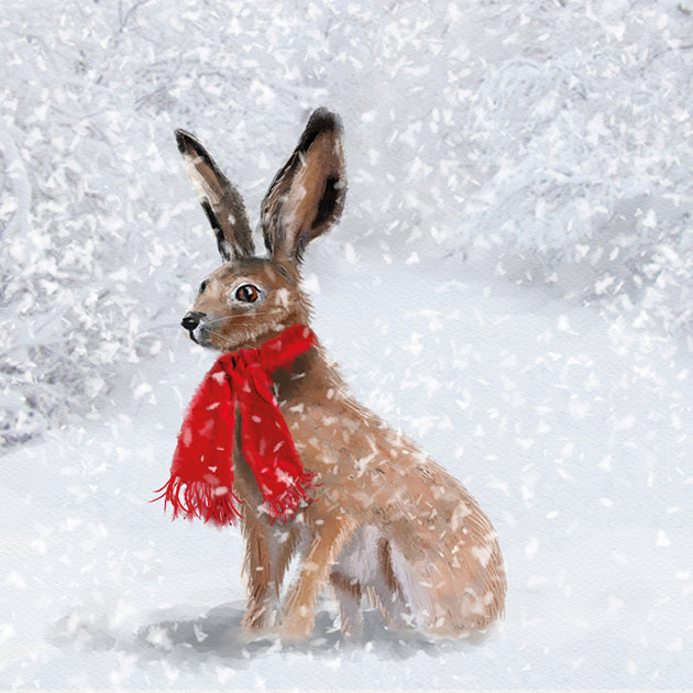 Winter Hare Christmas Card