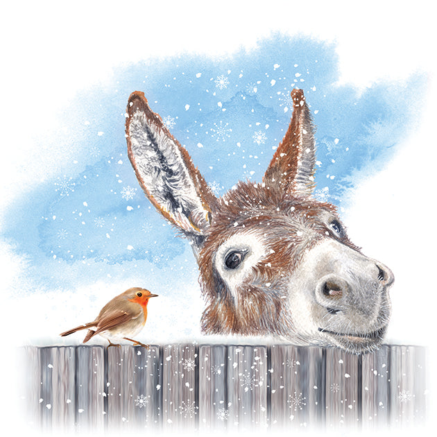 Robin and Donkey Christmas Card