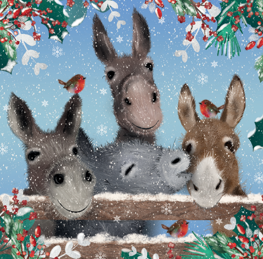 Donkeys Christmas Card