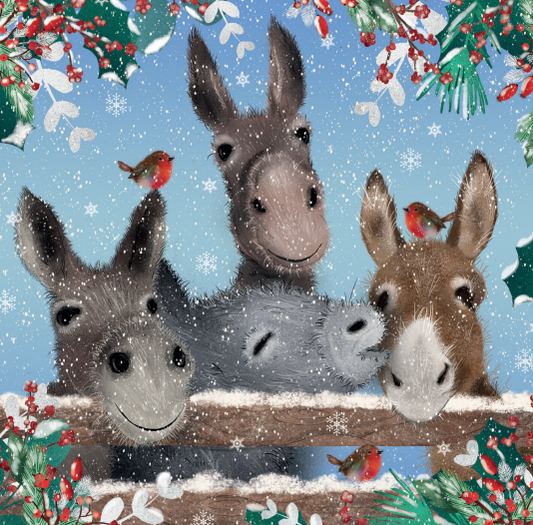 Donkeys Christmas Card