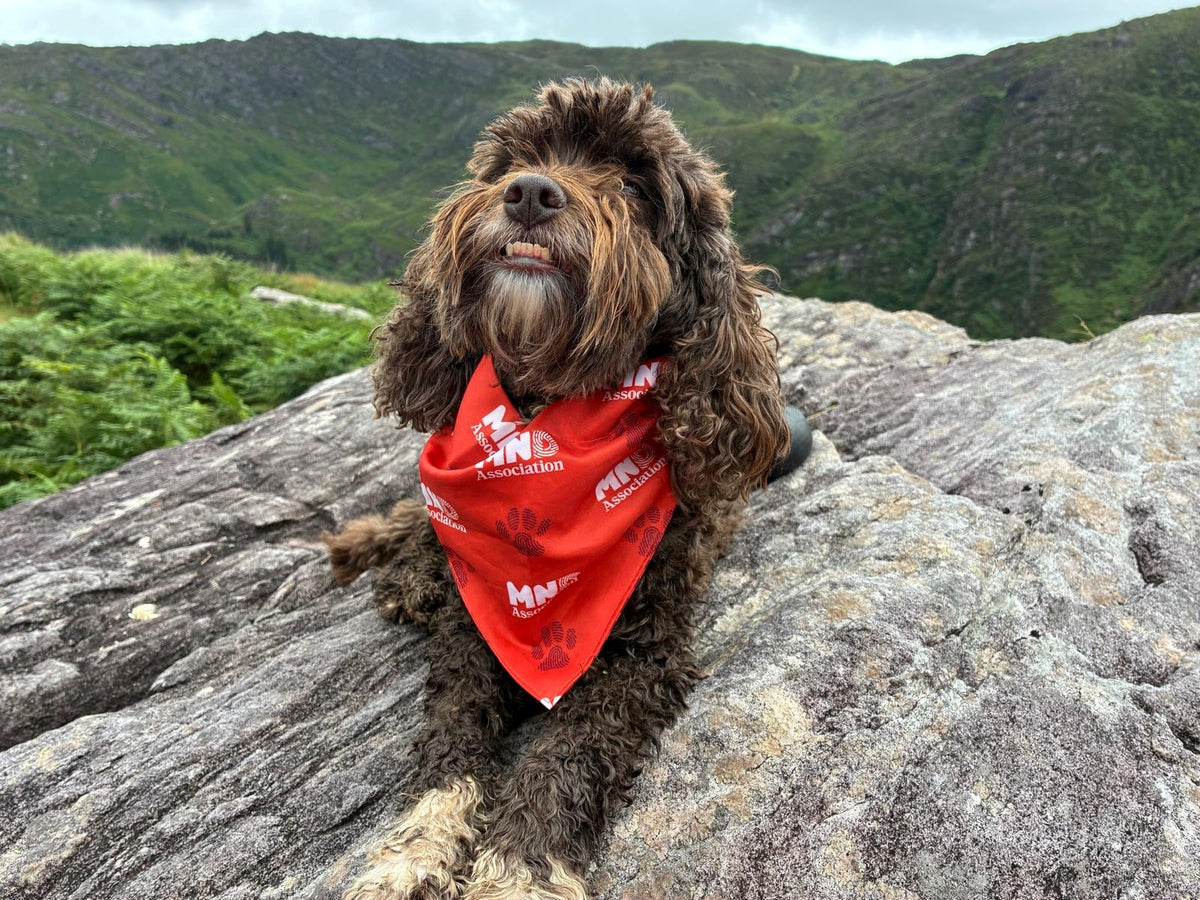 Dog Bandana