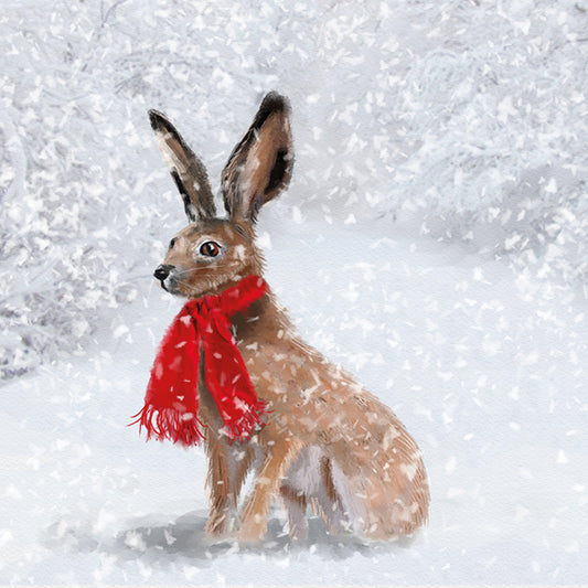 Winter Hare Christmas Card
