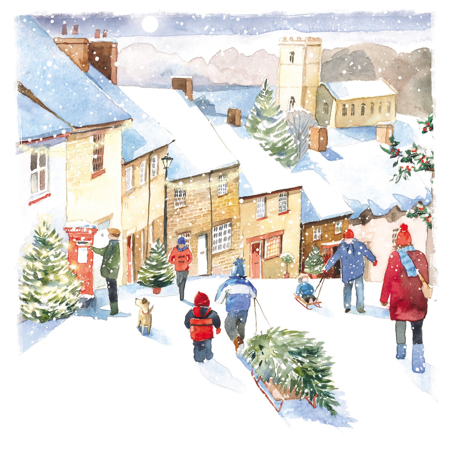Snow On A Steep Hill Christmas Card