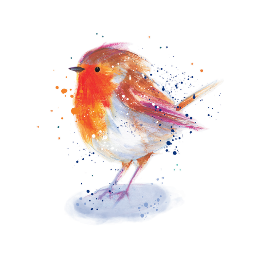 Robin Redbreast Christmas Card